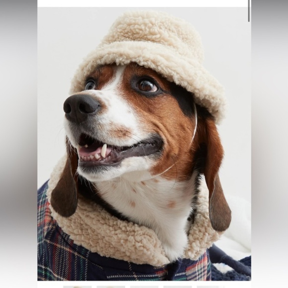 NWT Offleash by Aerie Sherpa Bucket Hat